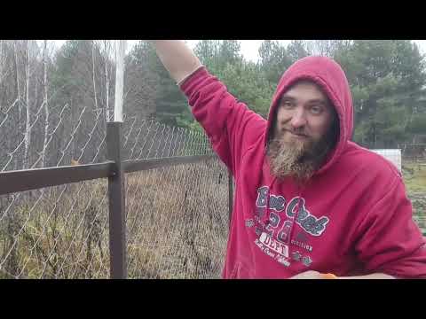 Видео: Вода в столбах забора 🤷‍♂️