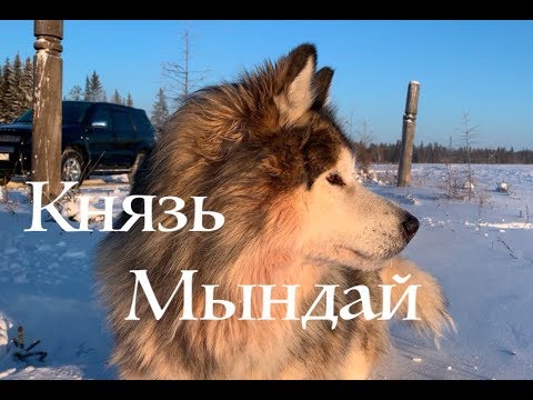 Видео: Нюрбинский Князь Мындай