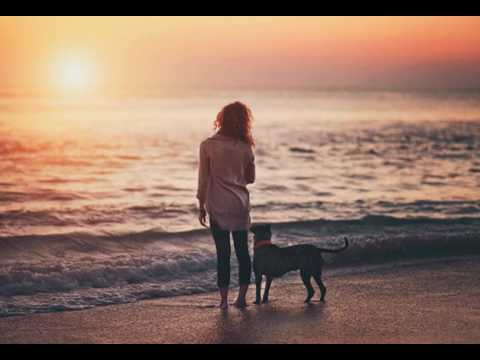 Видео: Хамиль (Каста) - Тихий дон