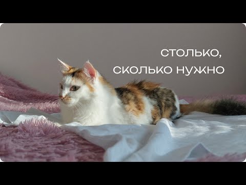 Видео: О минимализме