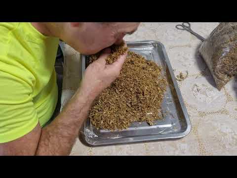 Видео: Купил табак- ,, Честер " #табак #сигаретные гильзы.