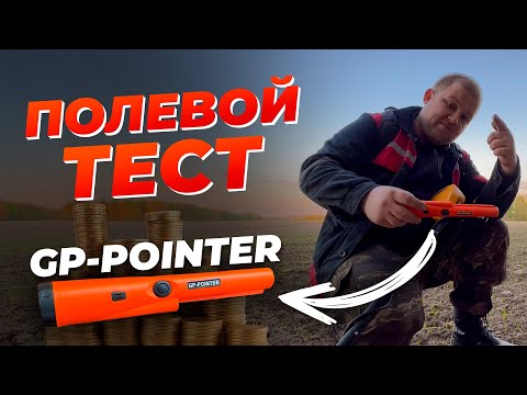 Видео: ПОЛЕВОЙ ТЕСТ ПИНПОИНТЕРА GP-POINTER / Бюджетный и полезный пинпоинтер Garrett Pro с Wildberries