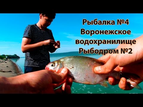 Видео: Рыбалка №4. Воронежское водохранилище. Рыбодром №2. Ловля на фидер. "Ох уж эти плиты"