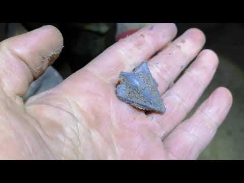 Видео: на дне реки Обь