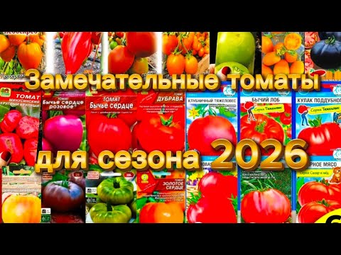 Видео: Эти томаты точно нужны на сезон 2026.