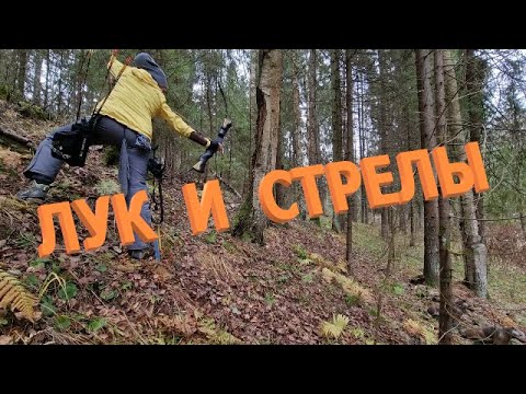 Видео: Стрельба из лука. Тонкости 3D стрельбы.