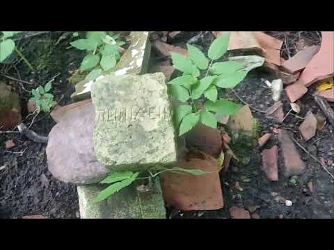 Видео: НЕМЕЦКИЙ БОЛЬШОЙ ПОСЕЛОК НА ТРЁХ БОЛОТАХ.КОП#коп #находкисметаллоискателем #metaldetecting 