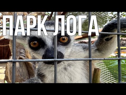 Видео: Парк Лога/ Лучшие достопримечательности Ростовской области/ / Самый полный обзор лучшего парка