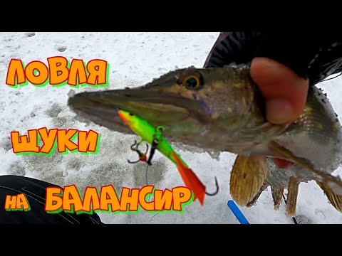 Видео: Ловля ЩУКИ по ПЕРВОМУ ЛЬДУ ! Зимняя Рыбалка на БАЛАНСИР в декабре .