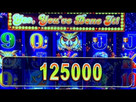 Видео: Удивлён совами #slotman #casino #timberwolfdeluxe
