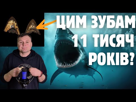 Видео: Справжні докази сучасного існування мегалодона? Аналіз викопних решток
