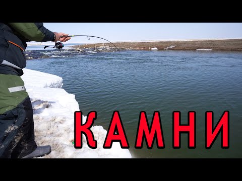 Видео: ОТКРЫТИЕ спиннингового СЕЗОНА. Шолак, Камни.