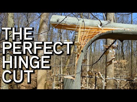 Видео: Идеальный разрез петли