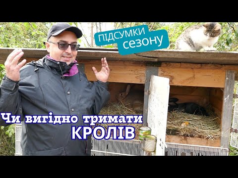 Видео: Чи вигідно тримати кролів? Підрахунок витрат та доходів в кінці сезону!
