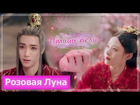Видео: Клип на дораму Чун Цзы | The Journey of Chongzi (Gong Keran & Chu Bufu | Wan Jie) - Птицы пели MV