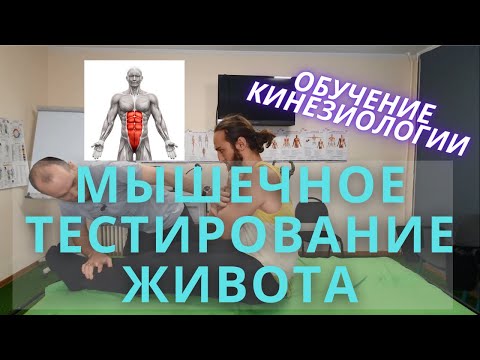 Видео: Протестируй живот. ММТ мышц живота. Прикладная кинезиология