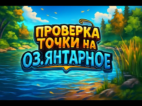 Видео: РР4: ПРОВЕРКА УЧАСТКА — ОЗЕРО ЯНТАРНОЕ ЛУЧШЕЕ МЕСТО ДЛЯ КАРПОВ