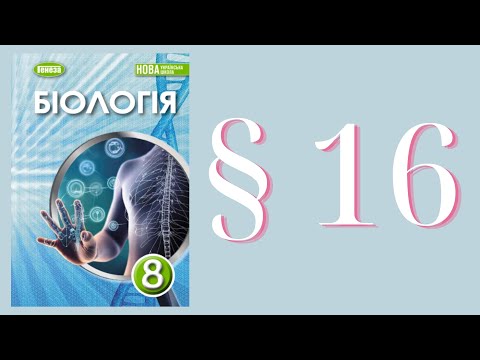 Видео: Біологія (Балан) 8 клас 2025р. ст. 65-69