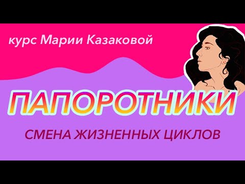 Видео: Урок "Смена жизненных циклов. Папоротники" — ЦТ, ЕГЭ, ЗНО