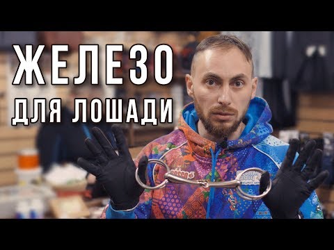 Видео: Железо для лошади. Мягкое или жесткое железо. Трензеля, мундштуки, пелямы.