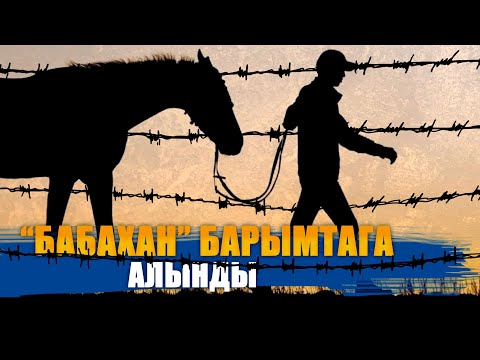 Видео: "БАБАХАН" БАРЫМТАГА АЛЫНДЫ II ЫДЫРЫС ИСАКОВ II НООКЕН II МАЛ УУРУЛУК