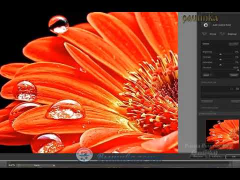 Видео: Урок 10. Капельки