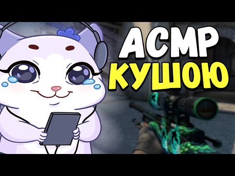 Видео: АСМР КСГО СЫРОК ПЕЧЕНЬКИ ЧАЙ БОЛТАЮ