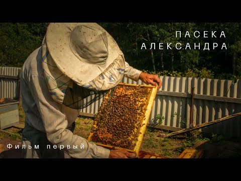 Видео: Пасека Александра. Фильм первый