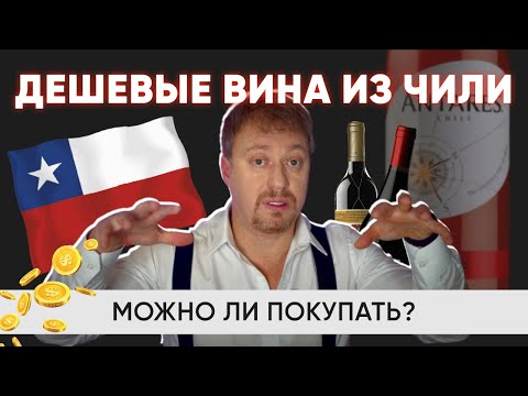 Видео: [ВИНА ЧИЛИ] - какие бывают, и стоит ли их пить?