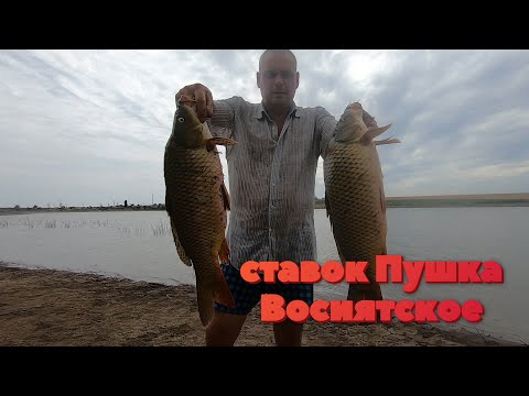 Видео: 0675140494 андрей ставок пушка