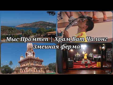 Видео: Мыс Промтеп, Храм Ват Чалонг, Змеиная ферма | Тайское Кафе Tik Tak