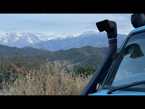 Видео: 🩵Броник78. Выезд на пикник. Обзор Прадо 78. Когда дома не сидится.