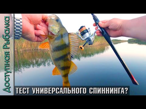 Видео: Универсальный Тревел Спиннинг 😮 для Джига и Твичинга | KINGDOM MULTI KEEL 2 | Тест на рыбалке