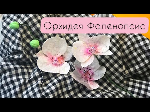 Видео: Как сделать орхидею из вафельной бумаги