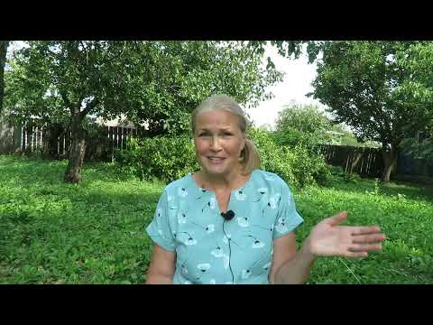 Видео: Как мне живётся в деревне