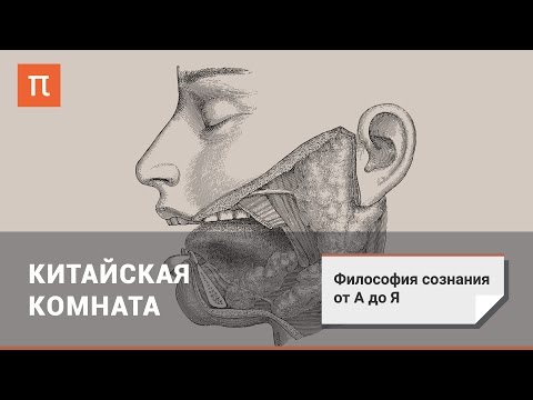 Видео: Философия сознания: Китайская комната