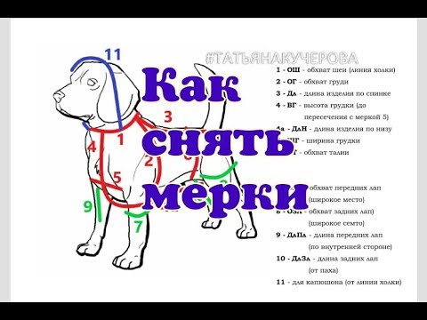 Видео: Как снять мерки