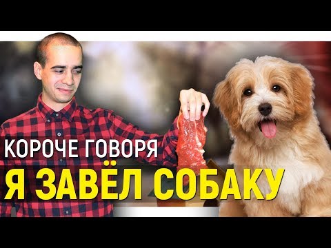 Видео: КОРОЧЕ ГОВОРЯ, Я ЗАВЁЛ СОБАКУ
