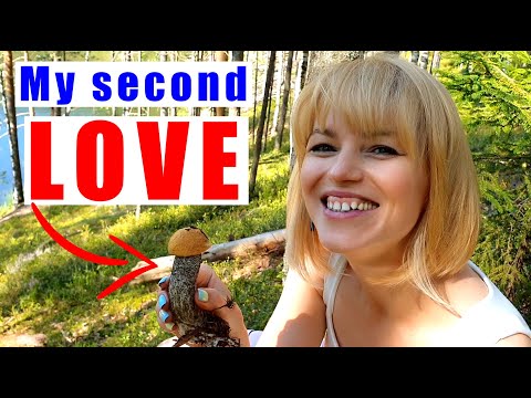 Видео: Грибы.Черника. Брод с трансивером над головой