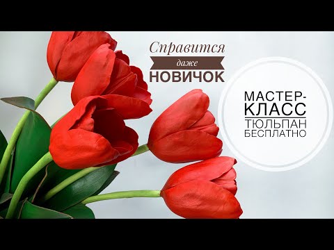 Видео: Мастер-класс тюльпан из фоамирана. Справится даже новичок в фомфлористике!