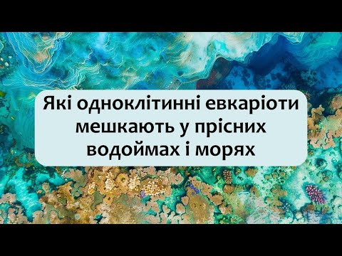 Видео: Біологія 7 клас (Балан). §11 Які одноклітинні евкаріоти мешкають у прісних водоймах і морях