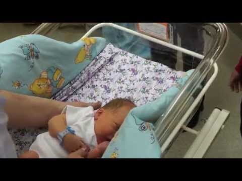 Видео: Выписка