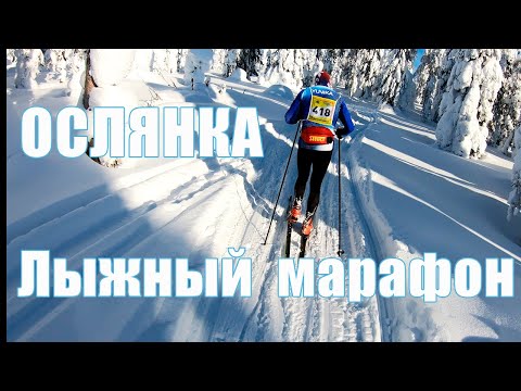 Видео: Лыжный марафон Ослянка 2022 / видео от первого лица