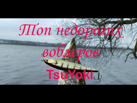 Видео: Лучшие недорогие воблеры на щуку . Топ 5 лучших воблеров от TsuYoki.