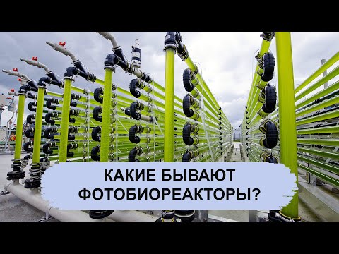 Видео: КАКИЕ БЫВАЮТ ФОТОБИОРЕАКТОРЫ?