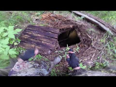 Видео: Браконьерские схроны(погребок))