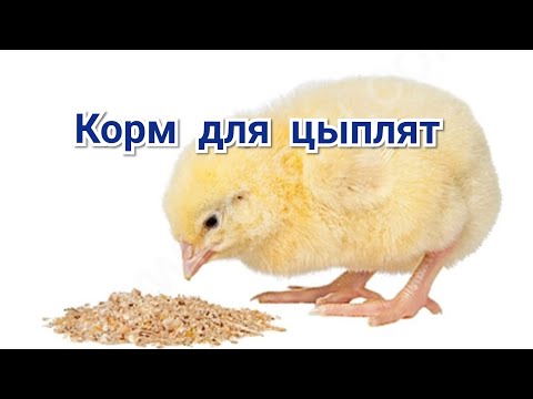 Видео: Корм для цыплят готовлю сама. Старт-1.