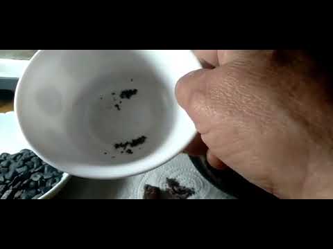 Видео: Драгоценные металлы в реке Томь.Андрей Костебелов