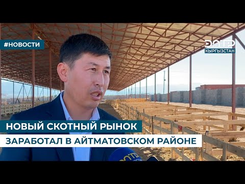 Видео: НОВЫЙ СКОТНЫЙ РЫНОК ЗАРАБОТАЛ В АЙТМАТОВСКОМ РАЙОНЕ