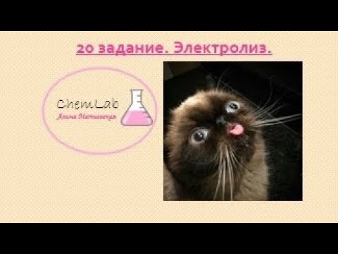 Видео: Все о 20 задании ЕГЭ🧪